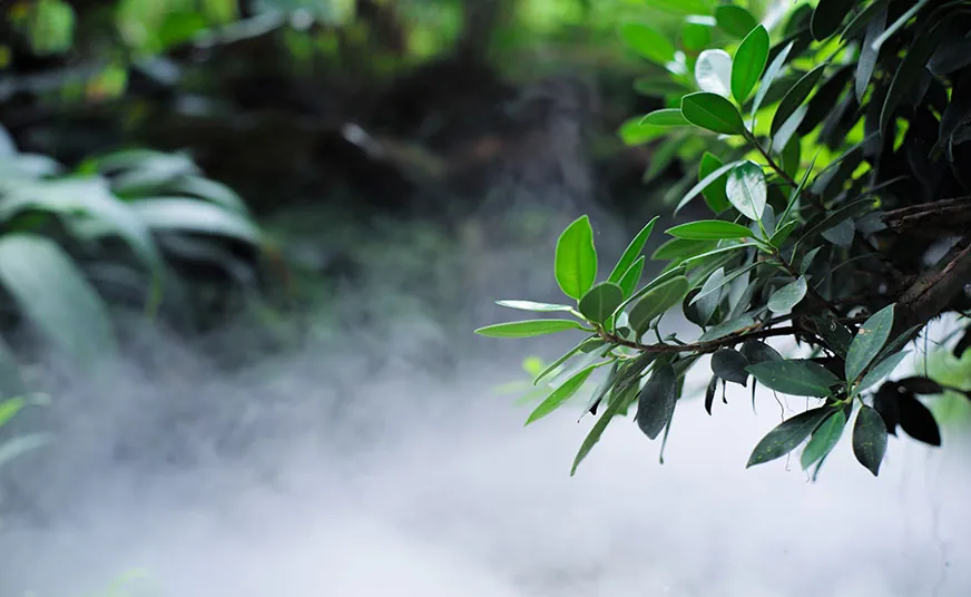 Misting Solutions